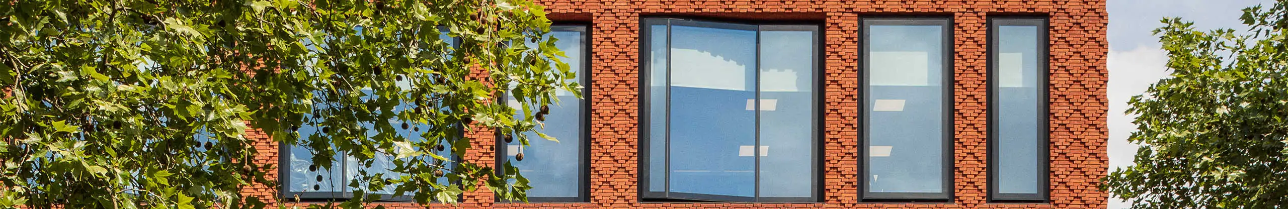 Buckingham Green Clay Bricks